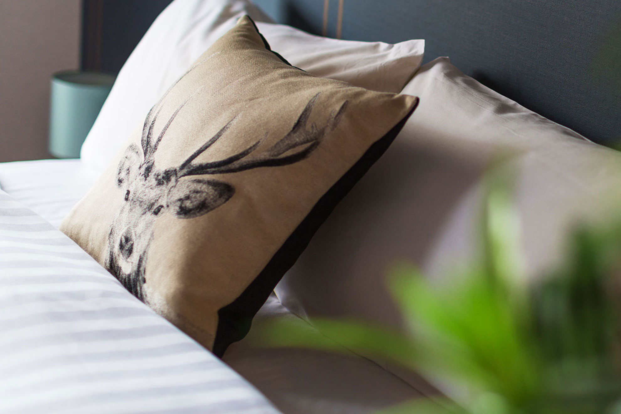 CoruscantHotelイメージ3